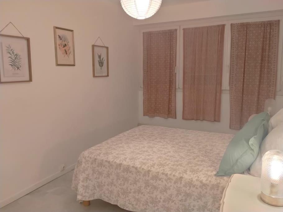 Appartement T3 Plein Centre Saint-Raphaël Exteriör bild
