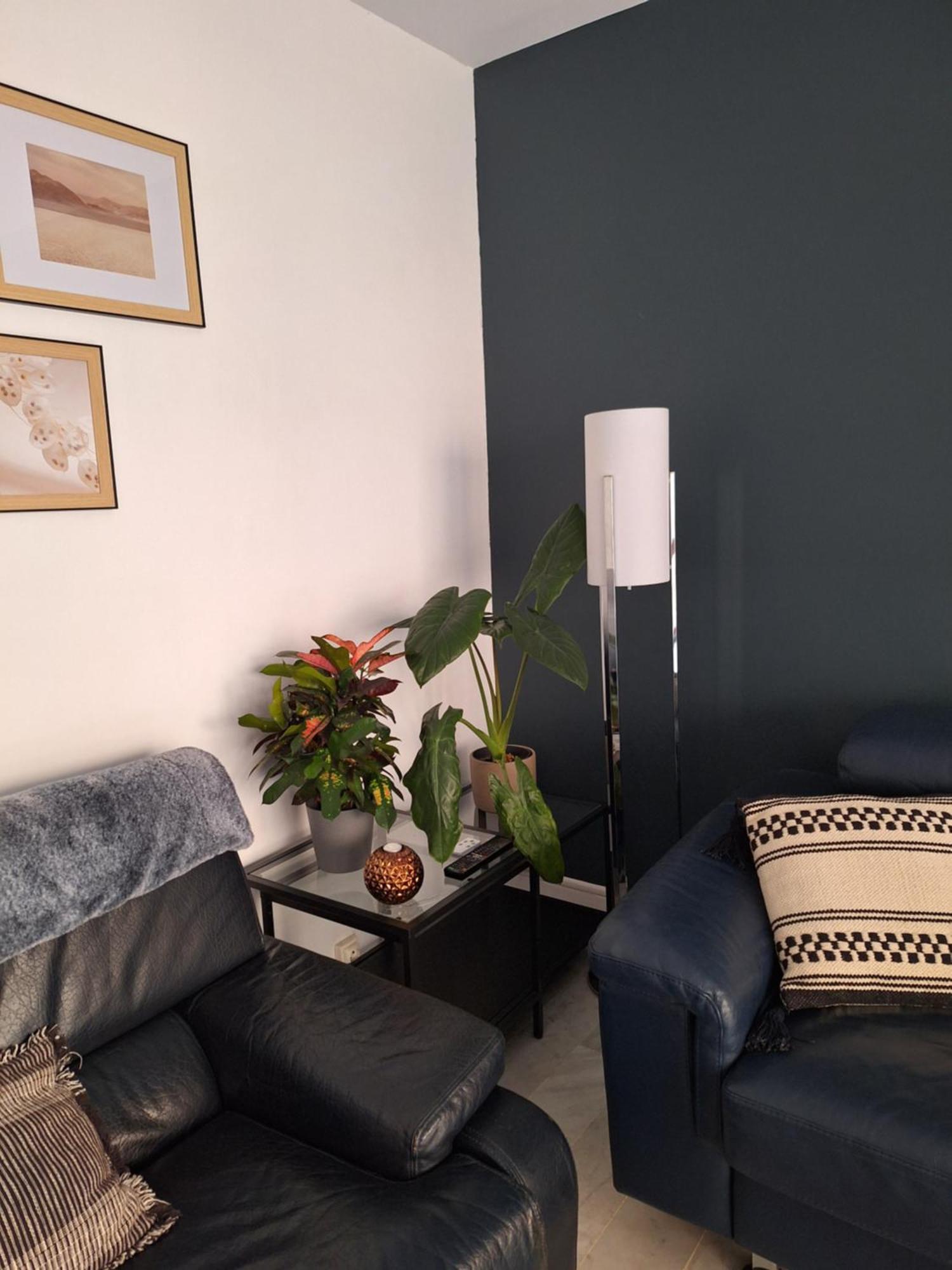 Appartement T3 Plein Centre Saint-Raphaël Exteriör bild